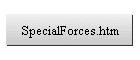 Special Forces
